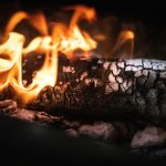 Dinas Damkar Situbondo Tangani Pohon Tumbang di Area Wisata